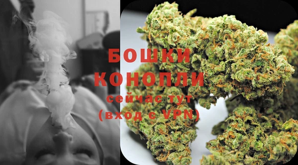 винт Пересвет
