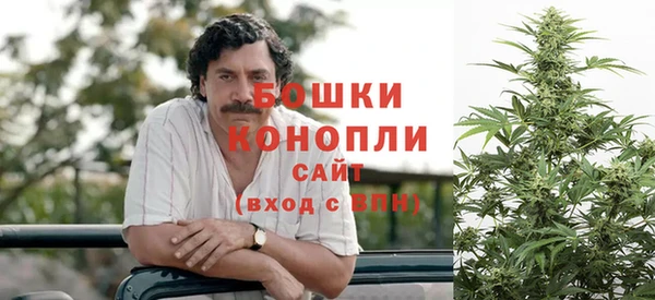 винт Пересвет