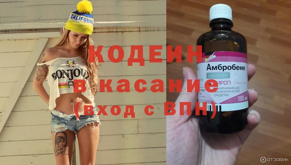 сатива Пестово