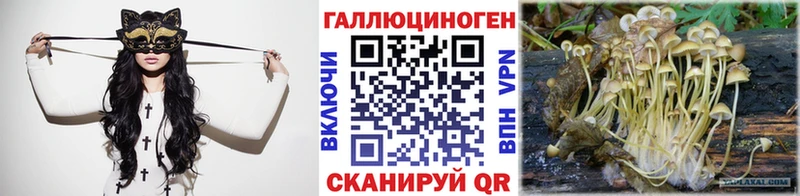 Псилоцибиновые грибы GOLDEN TEACHER  Сельцо 